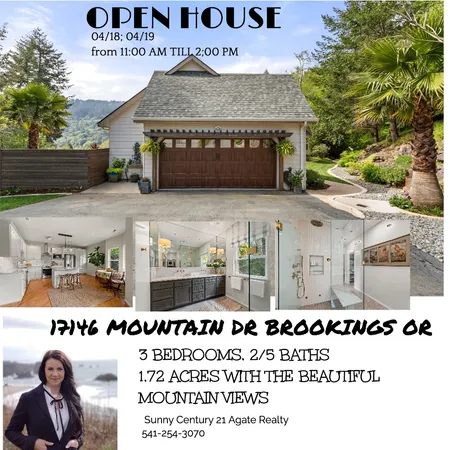 17146 Mountain Dr Interior Design Mood Board by sunny@century21agate.com