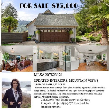 17146 Mountain dr Interior Design Mood Board by sunny@century21agate.com