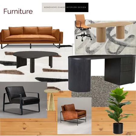 Project DM Furniture Interior Design Mood Board by Genevieve Chase Interior Design