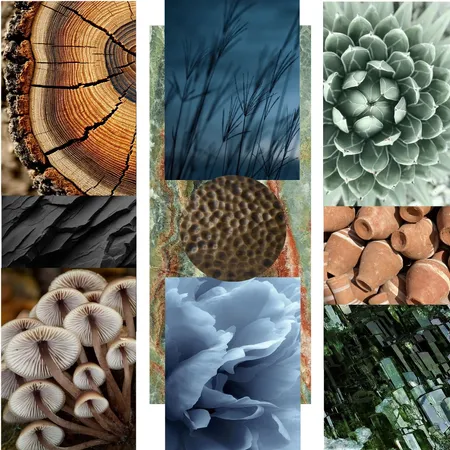 Concept Board House Interior Design Mood Board by AddieRaeLovelace