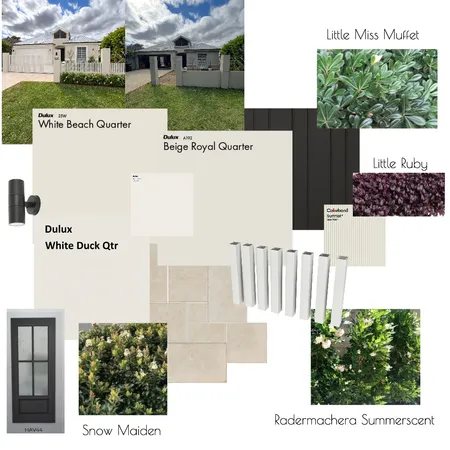 10a Angelico St Woodlands Exterior Moodboard Interior Design Mood Board by Amanda Lee Interiors