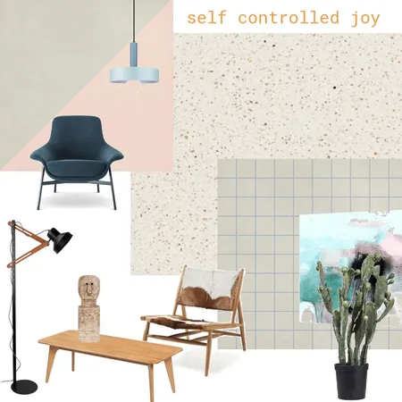 Self controlled joy2 Interior Design Mood Board by lior on Style Sourcebook