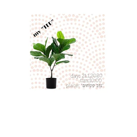 הזמנה למפגש TED מס 2 Interior Design Mood Board by talgol