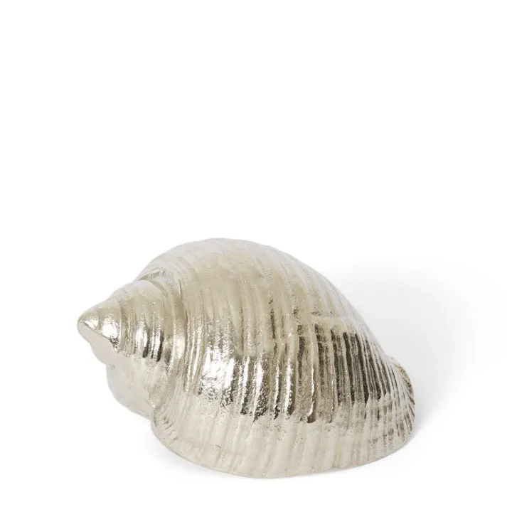 Moon Snail Shell Sculpture - 22 x 16 x 12cm