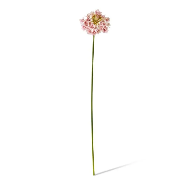 Star Flower Stem - 13 x 7 x 76cm