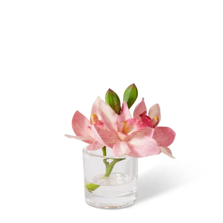 Cymbidium Orchid in Vase - 15 x 8 x 15cm