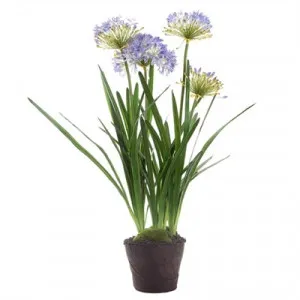 Artificial Agapanthus in Pot by Florabelle, a Plants for sale on Style Sourcebook