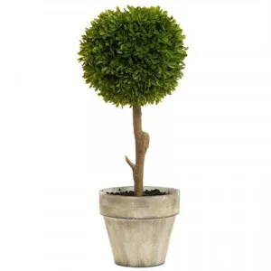 Artificial Boxwood Ball Topiary in Pot by Florabelle, a Plants for sale on Style Sourcebook
