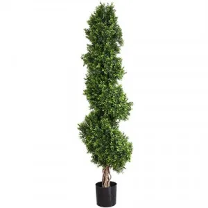 Artificial Boxwood Spiral Tree in Pot by Florabelle, a Plants for sale on Style Sourcebook
