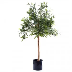Potted Artificial Unpruned Olive  Tree, 70cm by Florabelle, a Plants for sale on Style Sourcebook
