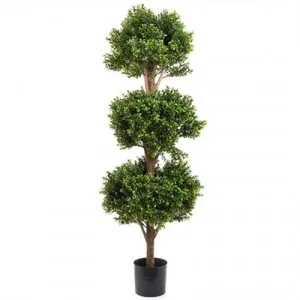 Artifcial Boxwood Triple Ball Tree in Pot by Florabelle, a Plants for sale on Style Sourcebook