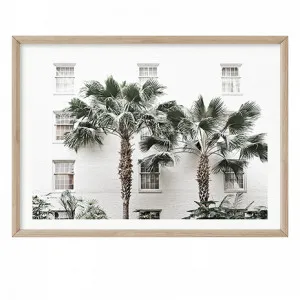 Twin Palms by Boho Art & Styling, a Prints for sale on Style Sourcebook