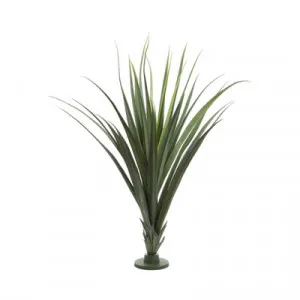 Artificial Pandanus Head, 140cm by Florabelle, a Plants for sale on Style Sourcebook