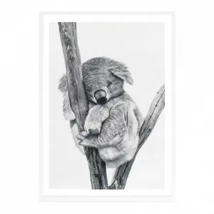 Sleeping Koala Art Print by The Print Emporium, a Prints for sale on Style Sourcebook