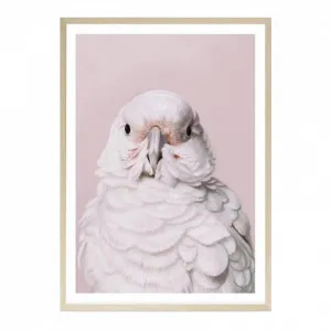 Milly The Umbrella Cockatoo - Pink Art Print by The Print Emporium, a Prints for sale on Style Sourcebook
