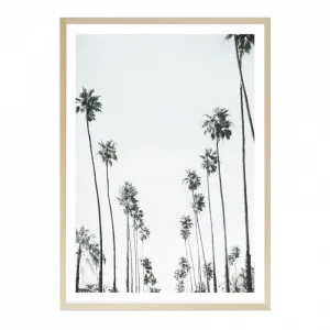California Palms II Art Print by The Print Emporium, a Prints for sale on Style Sourcebook