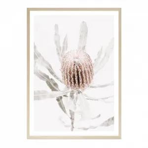 Banksia I Photo Art Print by The Print Emporium, a Prints for sale on Style Sourcebook