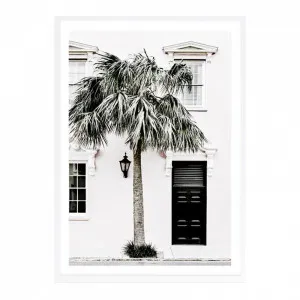 Palm House II Photo Art Print by The Print Emporium, a Prints for sale on Style Sourcebook