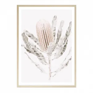 Banksia III Photo Art Print by The Print Emporium, a Prints for sale on Style Sourcebook