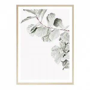 Fiddle-Leaf Fig II Photo Art Print by The Print Emporium, a Prints for sale on Style Sourcebook