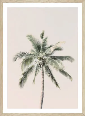 PINK PALM BY SEASCAPE LIVING by Seascape Living, a Original Artwork for sale on Style Sourcebook