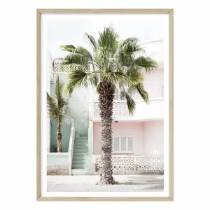 Cape Palm by Boho Art & Styling, a Prints for sale on Style Sourcebook