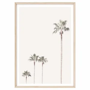 Pastel Palms by Boho Art & Styling, a Prints for sale on Style Sourcebook