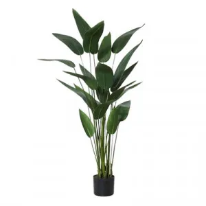 Potted Artificial Sky Bird Plant, Type A, 120cm by Rogue, a Plants for sale on Style Sourcebook