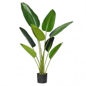 Potted Artificial Bird of Paradise Plant, Type B, 122cm by Rogue, a Plants for sale on Style Sourcebook