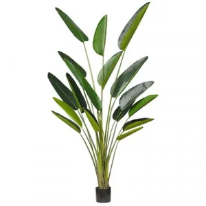 Potted Artificial Bird of Paradise Plant, Type B, 244cm by Rogue, a Plants for sale on Style Sourcebook