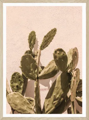 CACTI I by SeascapeLiving, a Prints for sale on Style Sourcebook