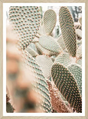 CACTI II by SeascapeLiving, a Prints for sale on Style Sourcebook