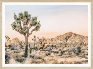 JOSHUA TREE by SeascapeLiving, a Prints for sale on Style Sourcebook