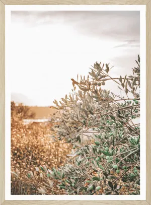 OLIVE TREE by SeascapeLiving, a Prints for sale on Style Sourcebook
