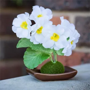 Set of 4 Artificial Table Poppy - White by FLH, a Plants for sale on Style Sourcebook