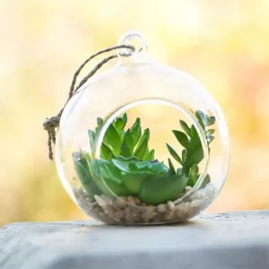 Artificial Miniature Plants in Hanging Glass Terrarium C by FLH, a Plants for sale on Style Sourcebook