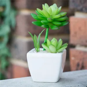 Itty Bitty Artificial Cacti in Pot by FLH, a Plants for sale on Style Sourcebook