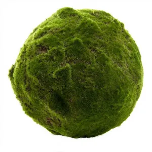 Artificial Moss Ball, 33cm by Florabelle, a Plants for sale on Style Sourcebook
