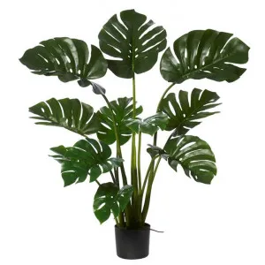 Potted Artificial Monstera Plant, 122cm by Rogue, a Plants for sale on Style Sourcebook