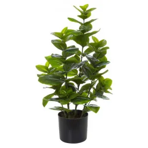 Potted Artificial Stella Magnolia Bush, 77cm by Rogue, a Plants for sale on Style Sourcebook