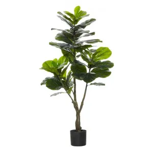 Potted Artificial Fiddle Leaf Fig Tree, Type A, 120cm by Rogue, a Plants for sale on Style Sourcebook
