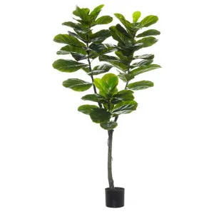 Potted Artificial Fiddle Leaf Fig Tree, Type A, 150cm by Rogue, a Plants for sale on Style Sourcebook