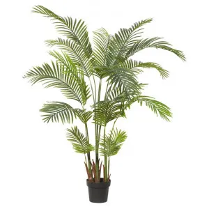 Potted Artificial Areca Palm, 170cm by Rogue, a Plants for sale on Style Sourcebook