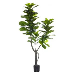 Potted Artificial Fiddle Leaf Fig Tree, Type A, 180cm by Rogue, a Plants for sale on Style Sourcebook