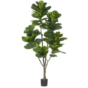 Potted Artificial Fiddle Leaf Fig Tree, Type C, 210cm by Rogue, a Plants for sale on Style Sourcebook