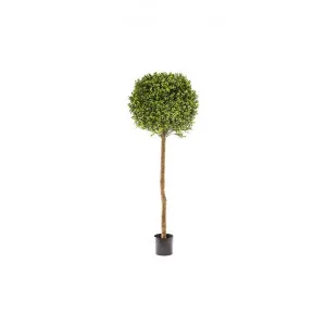 Artificial Boxwood Ball Topiary Tree, 150cm by Florabelle, a Plants for sale on Style Sourcebook