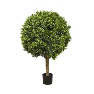 Artificial Boxwood Ball Topiary Tree, 75cm by Florabelle, a Plants for sale on Style Sourcebook