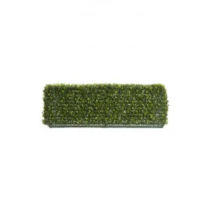 Artificial Boxwood Hedge, 95x25cm by Florabelle, a Plants for sale on Style Sourcebook