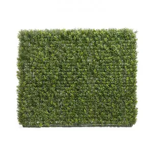 Artificial Boxwood Hedge, 100x75cm by Florabelle, a Plants for sale on Style Sourcebook