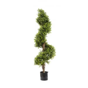 Artificial Boxwood Spiral Topiary Tree, 140cm by Florabelle, a Plants for sale on Style Sourcebook